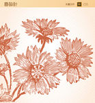 素描花朵矢量图