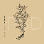 旱莲草