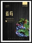 蓝莓