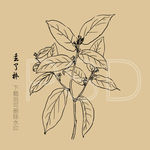 丢了棒