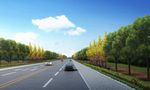 道路绿化表现