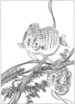 鱼 线描 素描 白描 国画