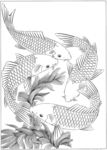 鱼 线描 素描 白描 国画