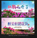 杜鹃花