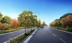 景观道路设计