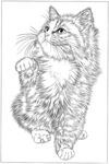 猫咪 素描 线描 白描 国画