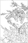 猫咪 素描 线描 白描 国画