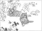 猫咪 素描 线描 白描 国画