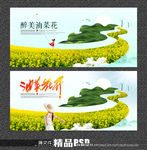 油菜花