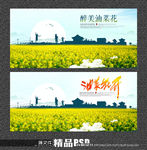 油菜花