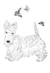 宠物名犬狗 白描 素描 线描