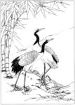 仙鹤 线描 素描 白描 国画