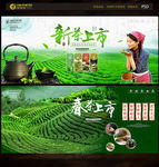 茶