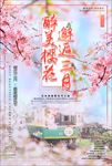 樱花节图片