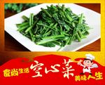 空心菜 清炒空心菜 小炒 炒空
