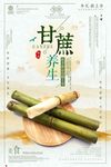 中国古典风养生甘蔗美食美味宣传
