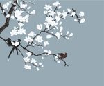 硅藻泥图案  玉兰花矢量