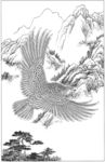 雄鹰 线描 素描 白描 国画