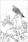 雄鹰 线描 素描 白描 国画