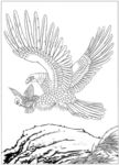 雄鹰 线描 素描 白描 国画