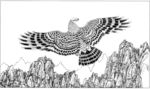 雄鹰 线描 素描 白描 国画