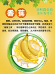 新鲜香蕉营养价值说明海报