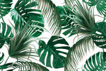 热带植物矢量背景墙设计素材