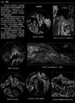 山白描装饰画