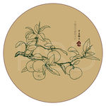 小青柑