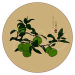 青柑