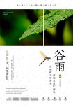二十四节气 谷雨