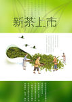 茶