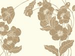 硅藻泥图案  花