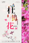 春季杜鹃花赏花旅游海报