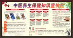 中医宣传栏
