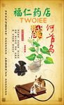 何首乌 中医 中药 医疗 药材