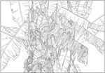 芭蕉 线描 素描 白描 中国画
