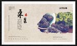桑葚