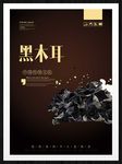 黑木耳