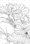 荷花  白描 素描 线描 国画