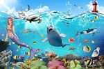 海洋生物