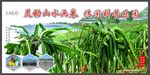 乡村旅游广告