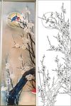 梅花鸟