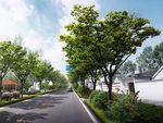 景观道路设计