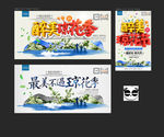 琼花