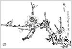 梅花线描 梅花白描 梅花素描