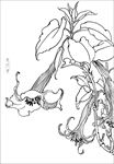 曼陀罗线描 曼陀罗白描 曼陀罗