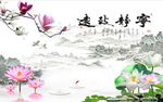 宁静致远玉兰荷花图
