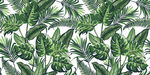 热带植物矢量背景墙