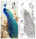 孔雀